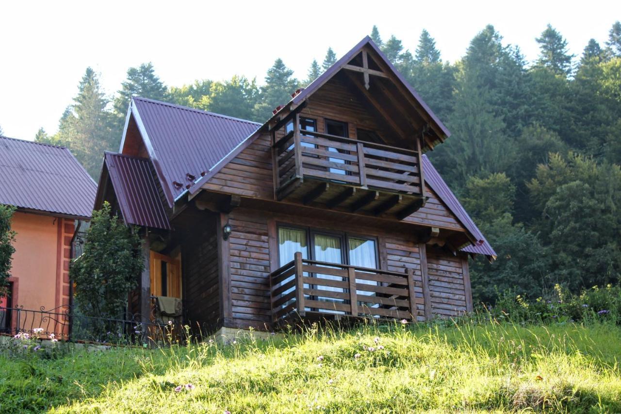 Cottage "Karpatske Shale" Yaremche Luaran gambar