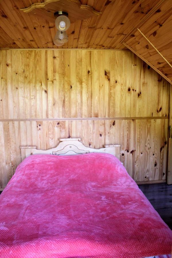 Cottage "Karpatske Shale" Yaremche Luaran gambar