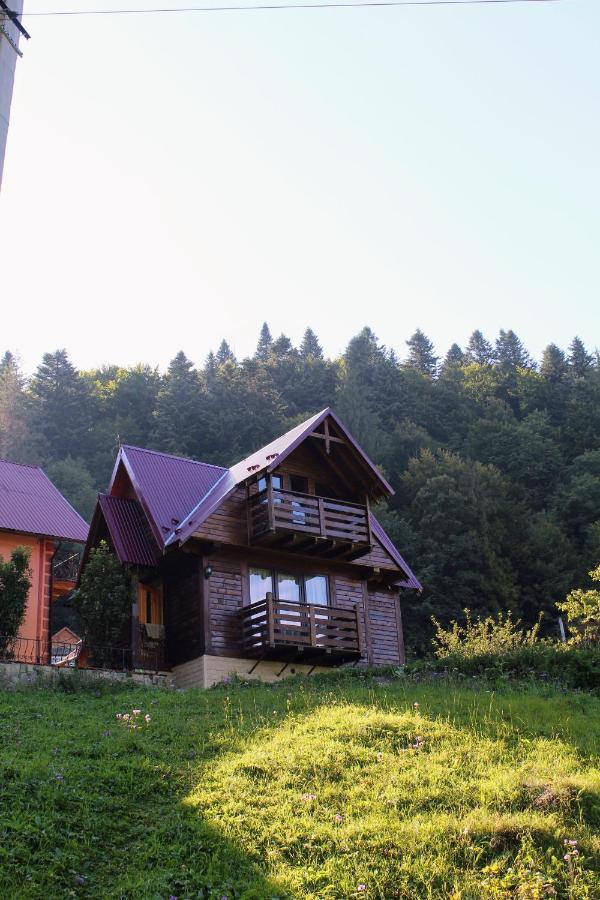 Cottage "Karpatske Shale" Yaremche Luaran gambar