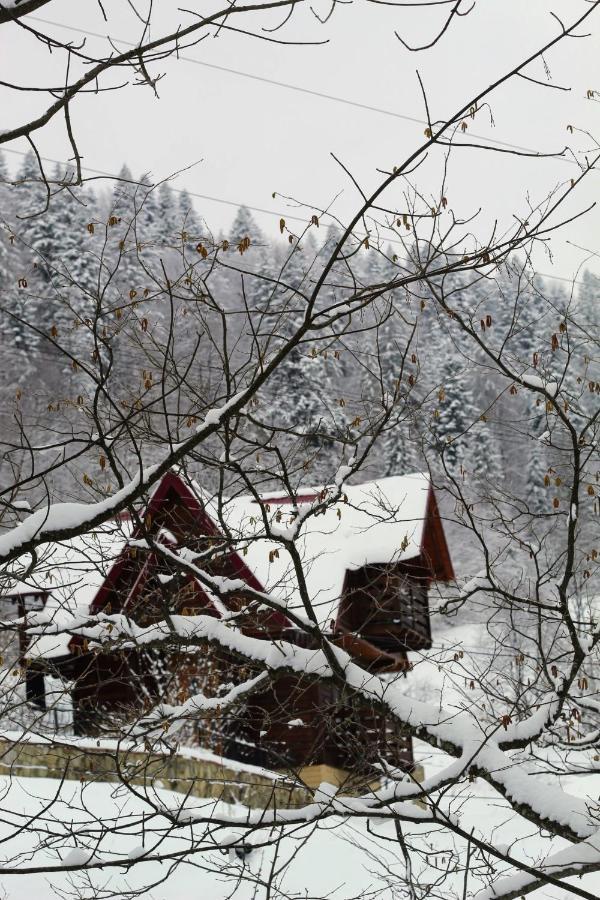 Cottage "Karpatske Shale" Yaremche Luaran gambar