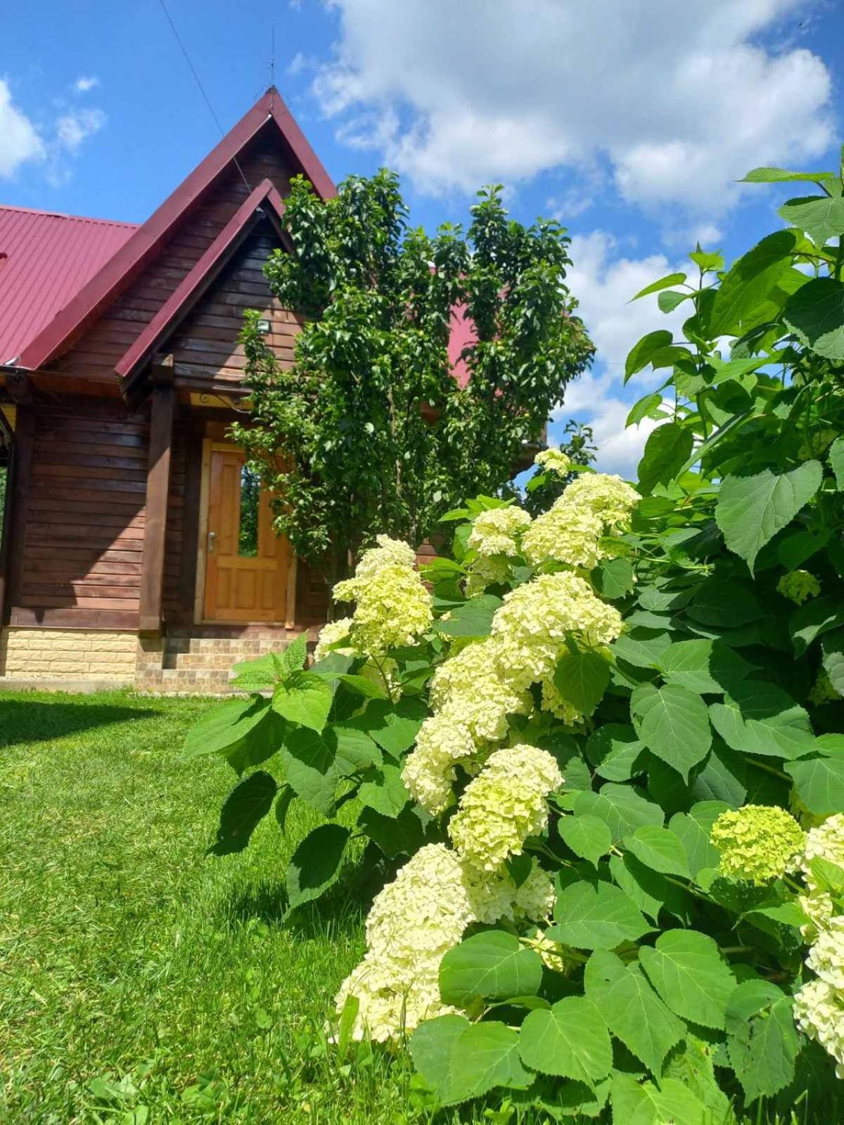 Cottage "Karpatske Shale" Yaremche Luaran gambar